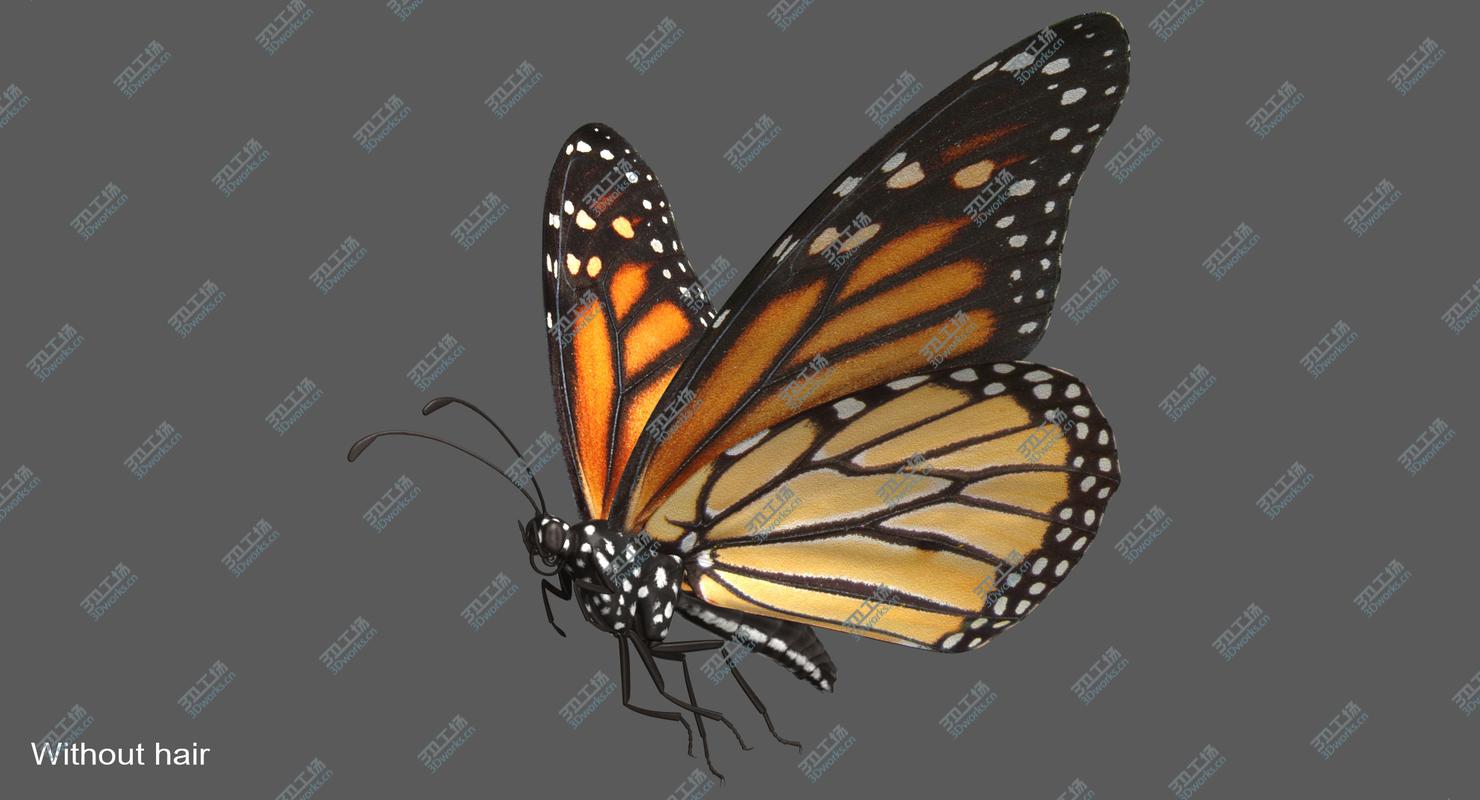 images/goods_img/202104094/Monarch Butterfly Rigged 3D/3.jpg